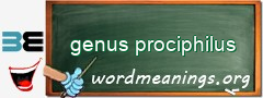 WordMeaning blackboard for genus prociphilus